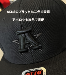 �A�|���W�b�N