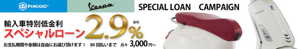 ���ʒ�����@�X�y�V�������[��2.9��